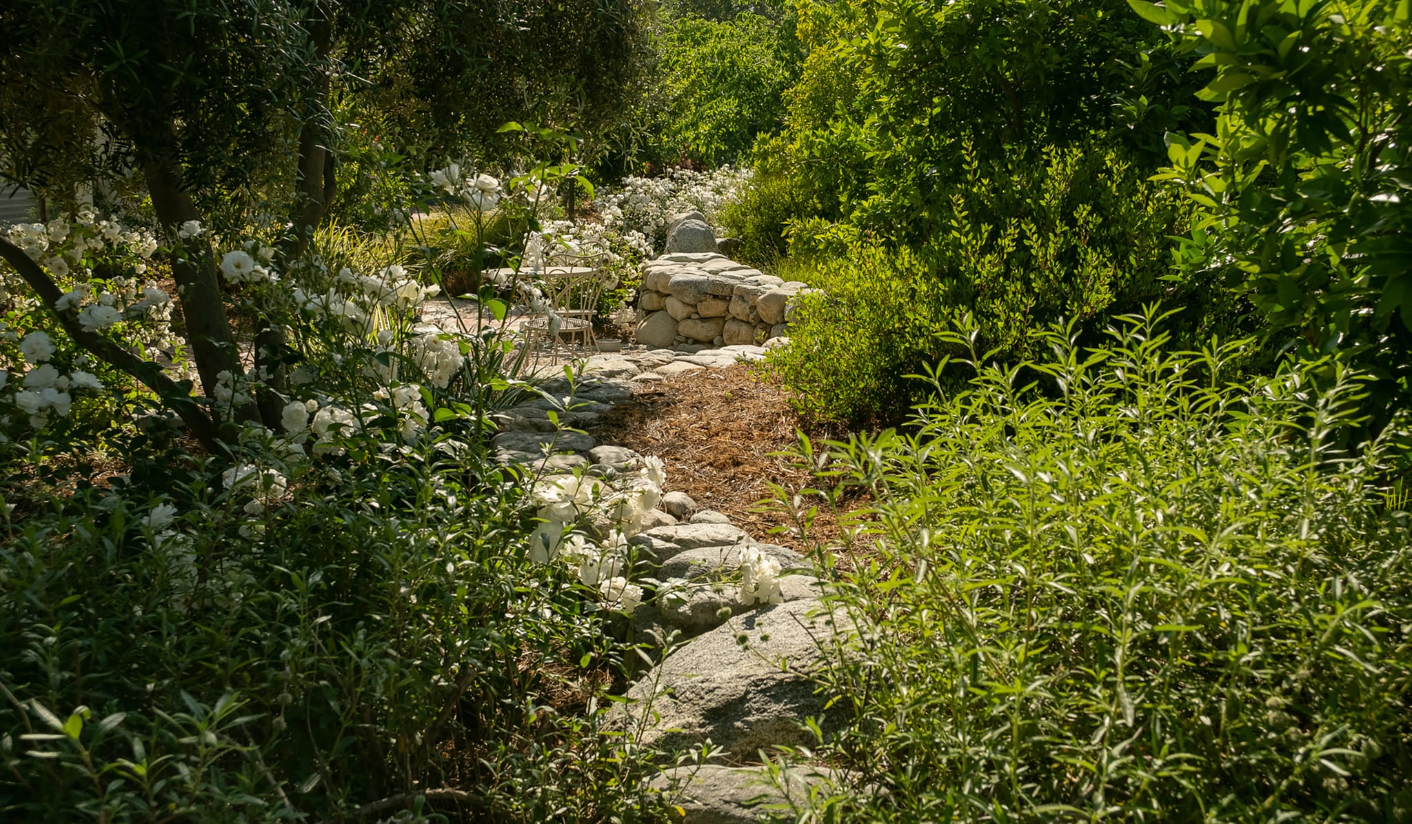 Low-water landscape with sculptural accents and mulched beds
