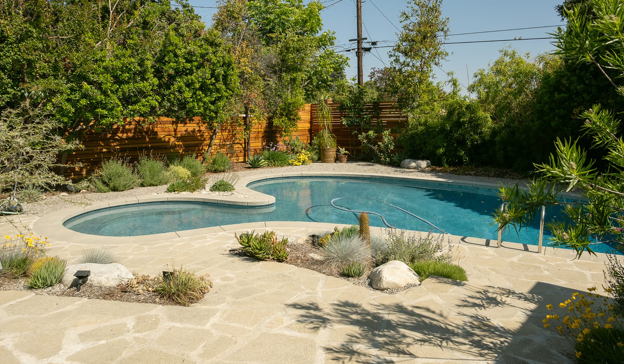 Pollinator-friendly planting palette in a residential garden