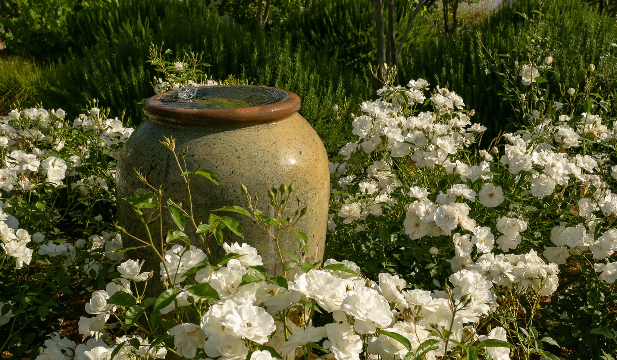 Layered native plantings and outdoor living space by Natural Earth