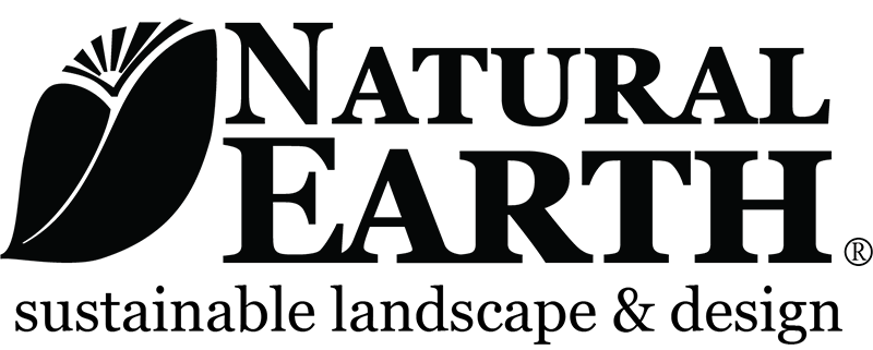Natural Earth Logo