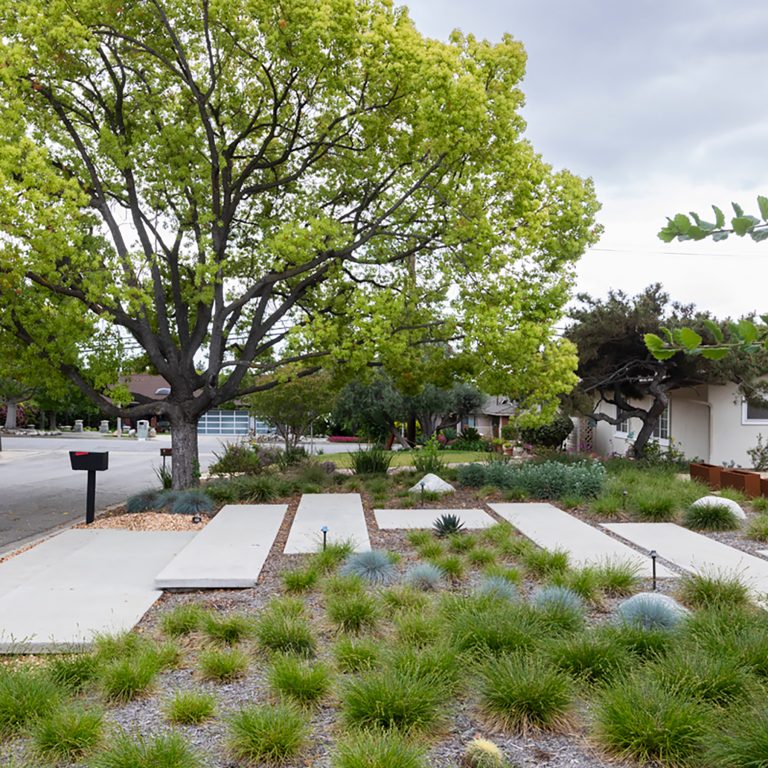 Sustainable Landscape and Design - Las Casas